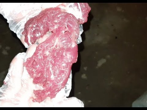 فيديو: هل يمكن للكلاب أن تأكل لحم الخنزير أو عظام الضلع؟
