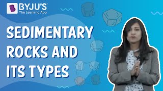 What Are Sedimentary Rocks And How Are They Formed? | Class 5 | Learn With BYJU'S