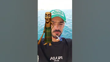 هو دا بقا 