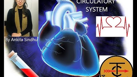 #Biology#Circulatory System#CDS#Capf