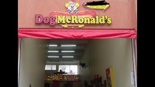 r/crappyoffbrands #1... DOG McRONALD'S