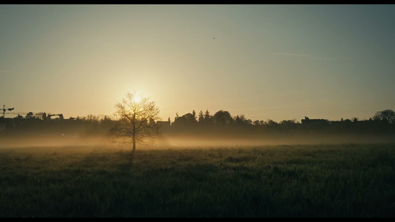 Trailer | Common Ground | Jonathan Jäggi