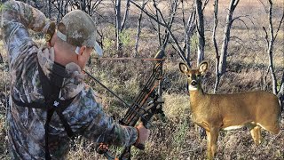 Cacería de venado cola blanca La suerte de mi lado 2 tiros a una venada segunda venada