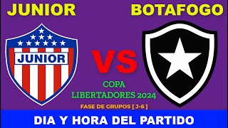 JUNIOR VS BOTAFOGO CUANDO JUEGAN FECHA HORARIO DÍA Y HORA EN VARIOS PAÍSES