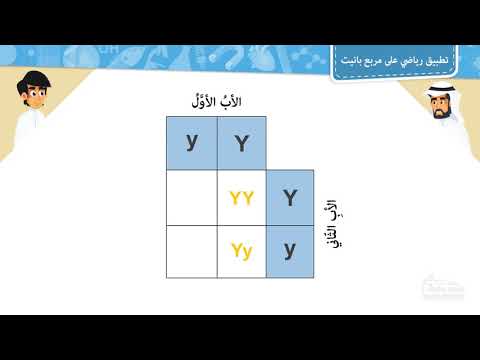 تطبيق رياضي على مربع بانيت