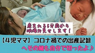 出産映像あり へその緒も自分で切りました コロナ禍での4人目出産 ソフロロジー出産 Youtube