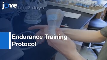Endurance Training & Longitudinal Performance Assays For Drosophila melanogaster l Protocol Preview