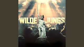 Video thumbnail of "Wilde Jungs - Das Theater"