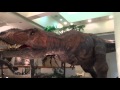 愛媛県立総合科学博物館　ティラノザウルスとトリケラトプス