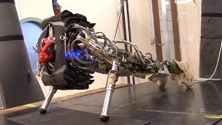 Tomorrow Daily - 144: The best robot training montage you'll ever see