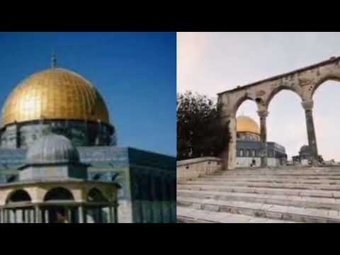 عيوننا إليك ترحل كل يوم فيروز