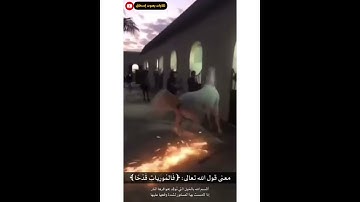 معنى فالموريات قدحا من سورة العاديات