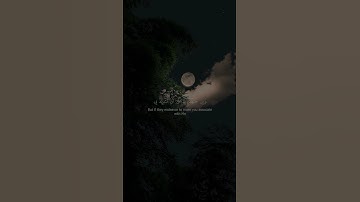 سورة لقمان - الآيات 14-15 - تلاوة ماهر المعيقلي