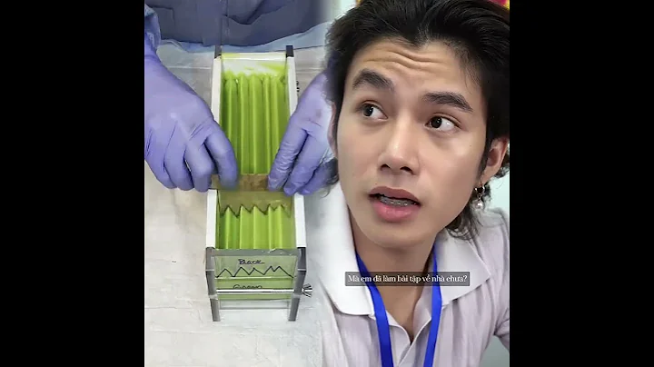 If you like the video I shared, please leave your mark