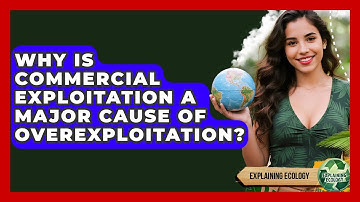 Why Is Commercial Exploitation A Major Cause Of Overexploitation? - Explaining Ecology