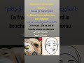       تعليم الشاوية مع يسمينة