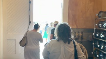 WSET Level 3  Bootcamp - Step into a Vineyard - Napa Valley Wine Academy #napavalley #winetrip