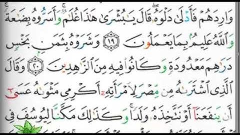 مصحف التجويد صفحة 237 إبراهيم الأخضر 🕋🕋