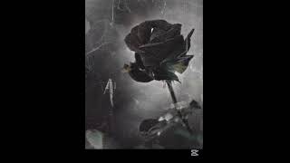 Kamal İsmayılov-Sevirəm Görmürsən.mp3.2025