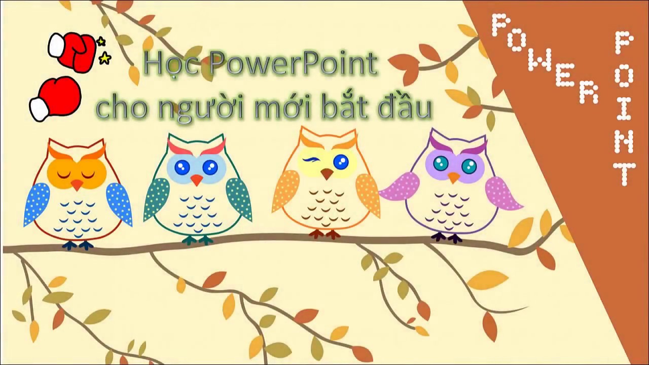 Hướng dẫn PowerPoint 2016: Bài 1 Tạo khung văn bản _ Teacher of Hoang Viet school
