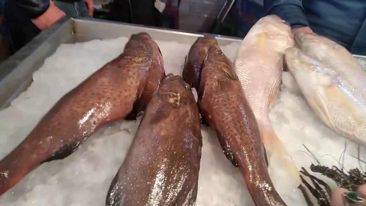 جولة في اكبر حلقة سمك بسوق الانصاري بالسويس مع  #ملكة_البحريات Fish Market in Suez