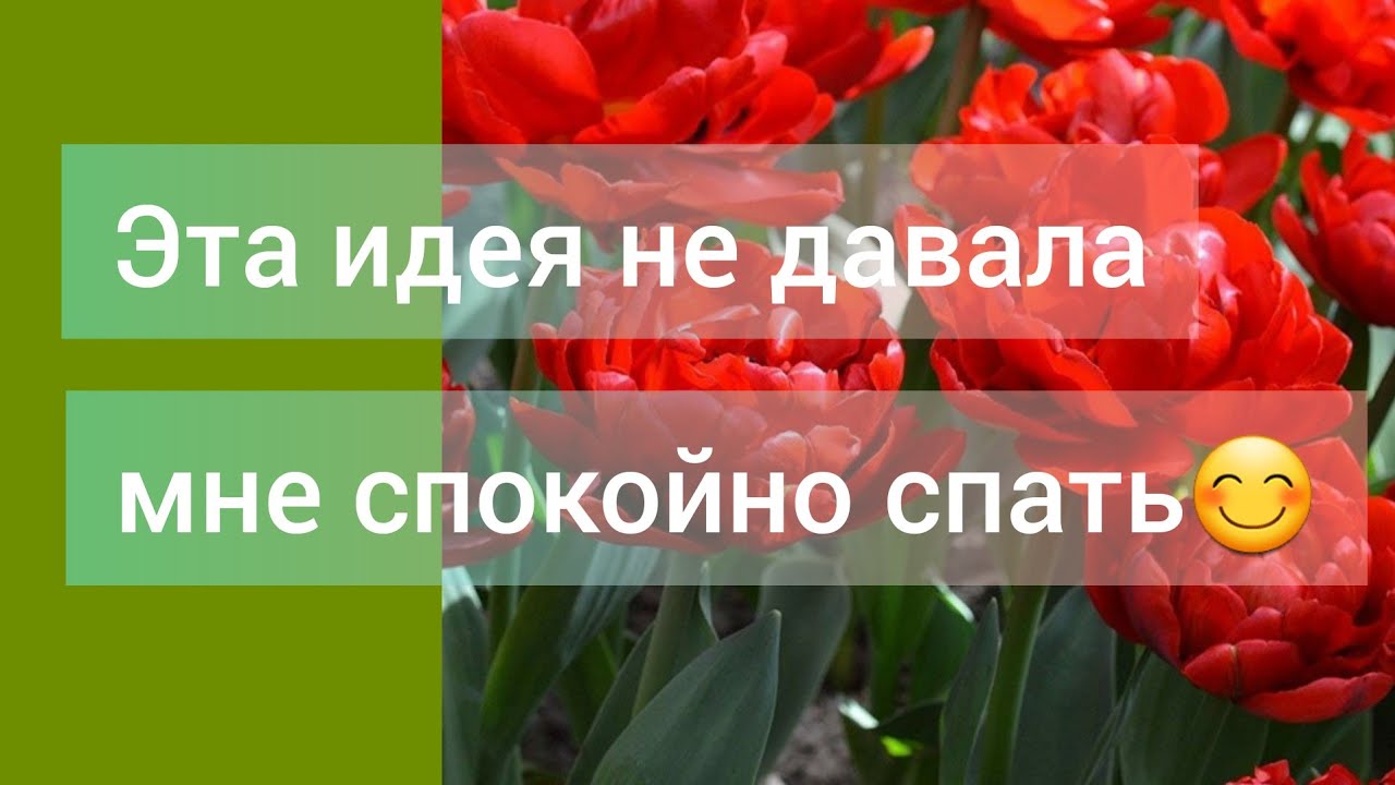 Борис Борисов Цветовод Новые Видео 2022 Года Борис Борисов Цветовод Новые Видео 2022 Года