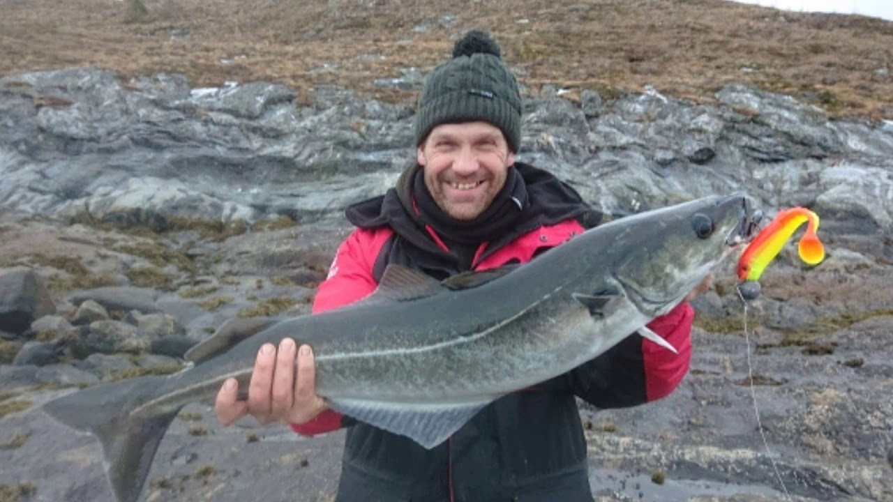 Shore fishing norway nov.2019 saltstraumen brygge - YouTube