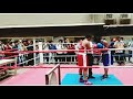 Indian boxing brutal knockout