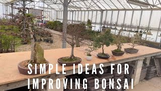 Simple Ideas For Improving Bonsai by Herons Bonsai 64,116 views 2 months ago 55 minutes