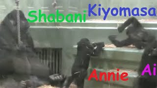 2015年頃のシャバーニ家族 60 Shabani family around 2015