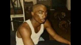 2Pac-Dayz Of A Criminal(True Original)(Unreleased)