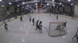 allegheny badgers 754 vs Buffalo Shamrocks, MLK tourney, 10u, score 2-5, 1-13-18