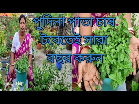 ভিডিও: কোনও সরঞ্জাম ছাড়াই কীভাবে সিক্স প্যাক তৈরি করবেন: 14 টি ধাপ