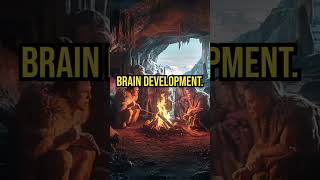 What Would The World Be Like Without The Discovery Of Fire?