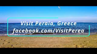 Slow-motion seagulls 🇬🇷 (Peraia, Thessaloniki, Greece)