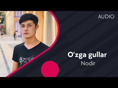 Nodir — O'zga gullar | Нодир — Узга гуллар (AUDIO)