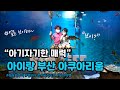 부산 아이랑_해운대_아쿠아리움_브이로그_VLOG