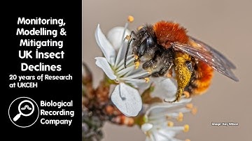 Monitoring Modelling and Mitigating UK Insect Declines 20 years of Research at UKCEH