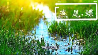 燕尾蝶 - Shine【動態歌詞Lyrics】