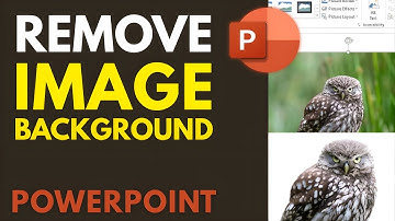 How to Remove Background from Image in PowerPoint (2025 Tutorial)