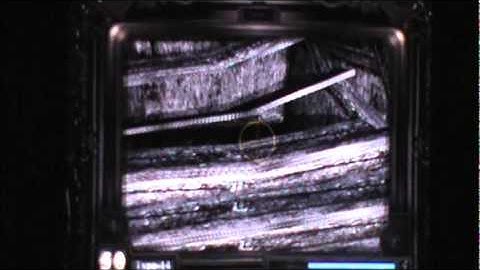 Fatal Frame Blind part 5