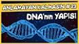 DNA'nın Yapısı ve Fonksiyonları ile ilgili video