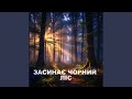 Засинає чорний ліс 
