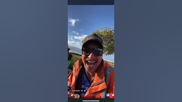 Man Falls From Tree While Trying to Break Branch - 1263797