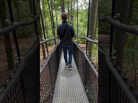 Complete the exciting treewalk on the Monkey Mountain at Affenberg Salem in Germany #shorts