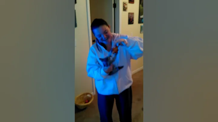 Kitten steals chicken wing