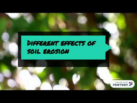 effects of soil erosion powtoon
