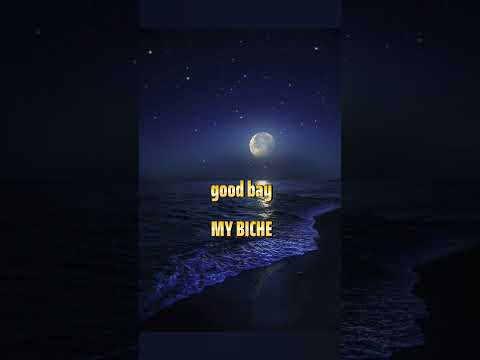 كانت من اجمل الايام ودعوا البحر