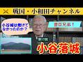 【豊臣兄弟！】第17回「小谷落城」