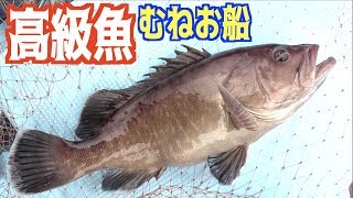 むねお船で思いもかけない高級魚が!!